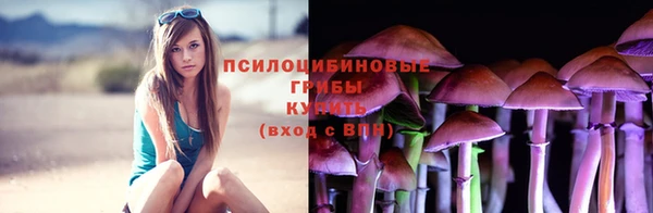 герыч Богородск