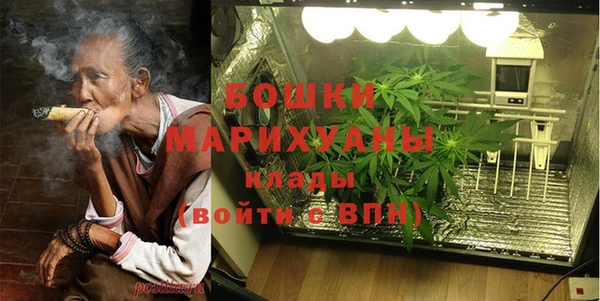 шишки Богородицк