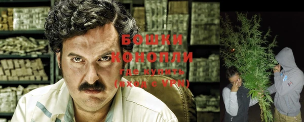шишки Богородицк