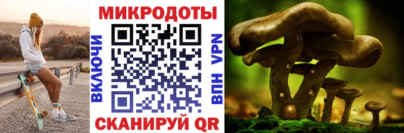 Галлюциногенные грибы ЛСД  купить   Борзя 